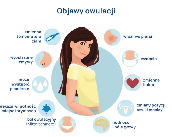 Objawy owulacji: zmienna temperatura, wyostrzone zmysły, plamienie, wilgotność, ból, wzdęcia, libido, nudności, bóle głowy, wrażliwe piersi, zmiany szyjki macicy.