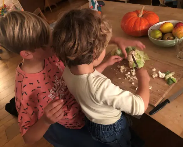 Zwei Kinder helfen im Haushalt und schneiden Blumenkohl. Ein Kürbis und Obst liegen daneben.
