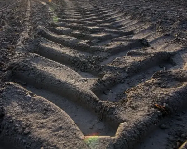Ile trzeba mieć ziemi, żeby nie płacić podatku od nieruchomości? Oto szczegóły