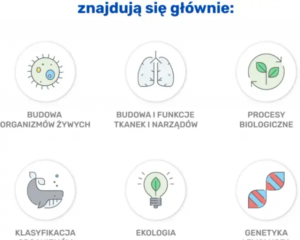 Co na maturę z biologii? Najważniejsze tematy i skuteczne metody nauki