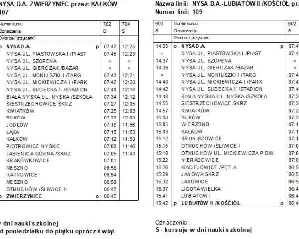 Skąd odjeżdża autobus Nysa? Adres, przewoźnicy, dojazd!