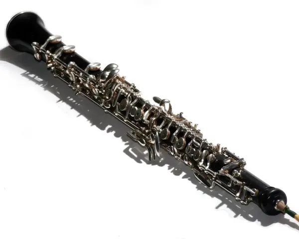Ein elegantes Musikinstrument, eine Oboe, liegt im Schatten.