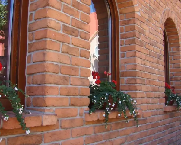 Elegancka elewacja z cegły klinkierowej, z kwitnącymi pelargoniami przy oknach. Sprawdź, jaka jest cegła klinkierowa cena!