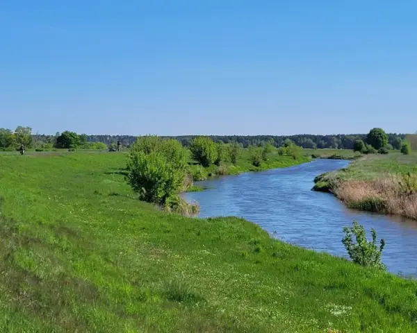 Malowniczy szlak rowerowy Odra Nysa wije się wśród zielonych łąk i lasów, nad błękitną rzeką.