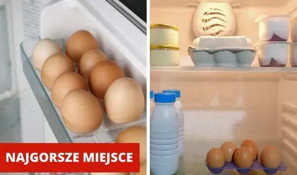 Jajka: lodówka czy półka? Ekspert wyjaśnia zasady przechowywania