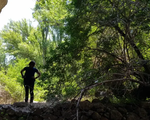 Persona con bastones de senderismo, disfrutando de las rutas por Siguenza, rodeada de vegetación exuberante y formaciones rocosas.