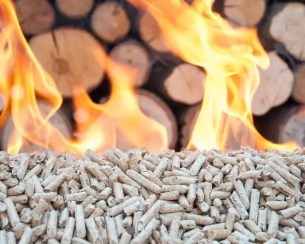 Flammes au-dessus de granulés de bois et de bûches empilées.