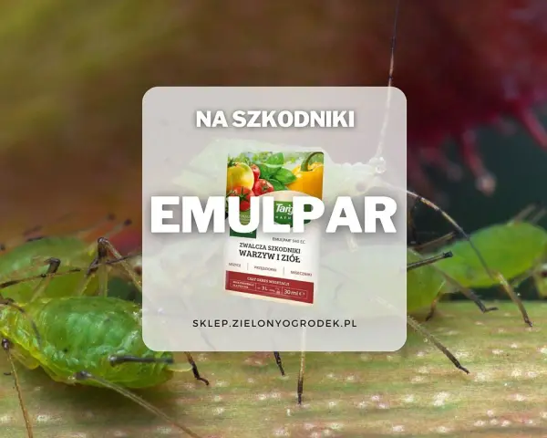 Emulpar 940 EC zwalcza mszyce i przędziorki. Sprawdź emulpar 940 ec dawkowanie na warzywa i zioła.