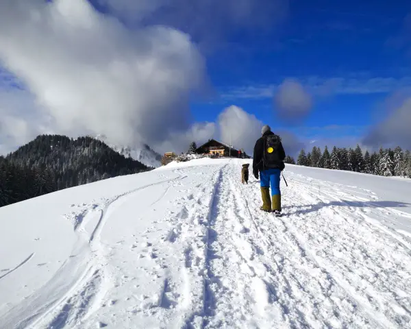 Winterliche Aueralm Wanderung: Ein Wanderer mit Hund bahnt sich den Weg durch tiefen Schnee zu einer Hütte, umgeben von verschneiten Bäumen und blauem Himmel.