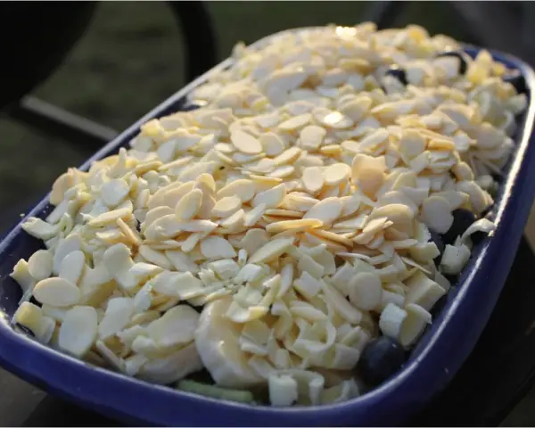 En blå form fylld med frukt och toppad med mandelspån. Perfekt för ett Gino recept.