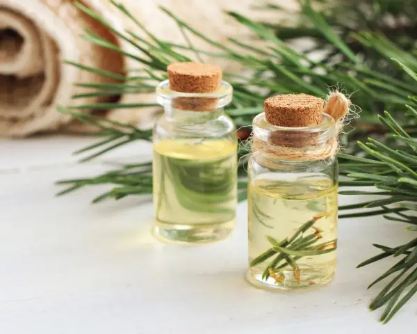 Dwa małe flakoniki z olejkiem sosnowym, idealne na przeziębienie i do aromaterapii.