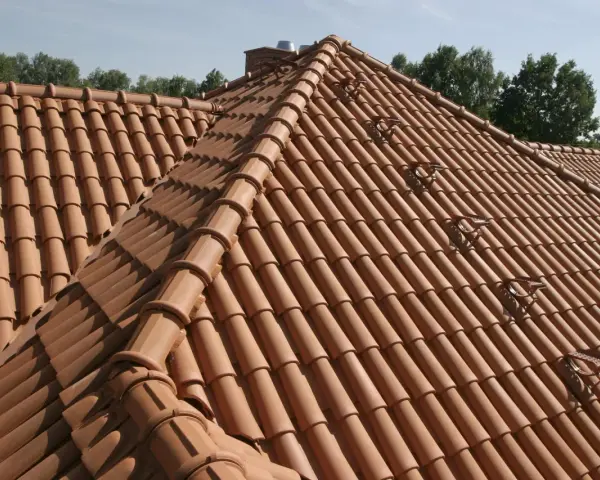 Nowy, czerwony gąsior dachowy lśni w słońcu, tworząc malowniczy krajobraz.
