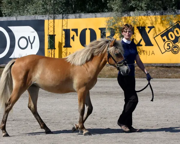 Une femme mène un cheval alezan, un **argento etalon**, devant un mur jaune avec des logos.