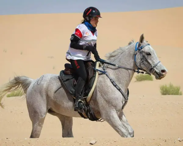 Une cavalière et son pur sang arabe endurance traversent le désert.