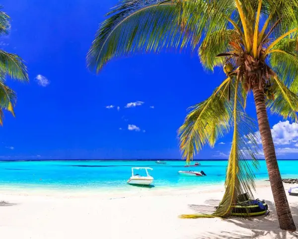 Rajska plaża na Mauritiusie w czerwcu. Błękitne niebo, turkusowa woda i palmy tworzą idealną pogodę na wakacje.