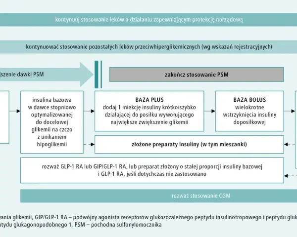 Schemat leczenia cukrzycy: kiedy stosować leki na cukrzycę przed czy po jedzeniu, insulinę bazową, bolus, złożone preparaty, GLP-1 RA, GIP/GLP-1 RA.