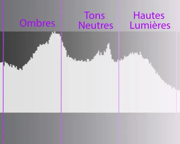 Comprendre comment lire un histogramme : une représentation graphique des tons d'une image, des noirs aux blancs, avec des zones pour les ombres, tons neutres et hautes lumières.