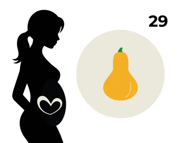 Schwarze Silhouette einer schwangeren Frau, die das 29. SSW-Baby mit einer Kürbisform vergleicht.