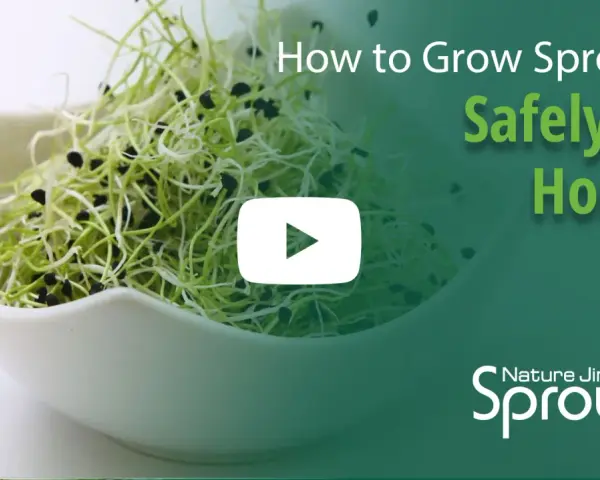 Fresh sprouts in a white bowl, with text overlay "How to Grow Sprouts Safely at Home" and a play button.
