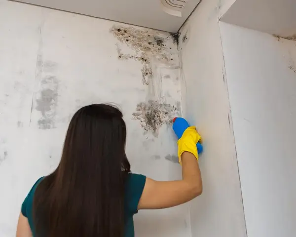 Mujer con guantes amarillos limpiando moho de la pared con un spray.