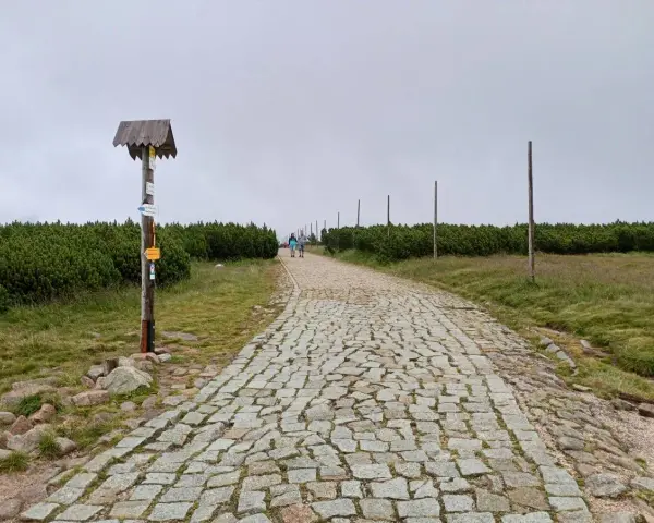 Kamienna ścieżka w górach, pośród kosodrzewin. Na pierwszym planie drewniany słup z drogowskazami, przypominający spaloną strażnicę.