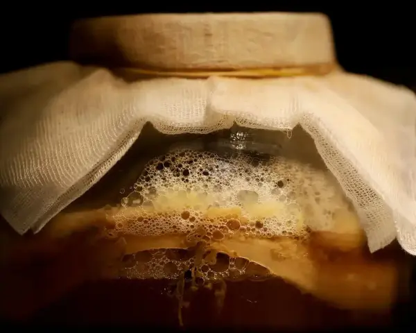Ein Glas mit einer schaumigen, honigfarbenen Flüssigkeit, bedeckt mit einem weißen Tuch. Hier beginnt das Abenteuer, hefe selber machen!
