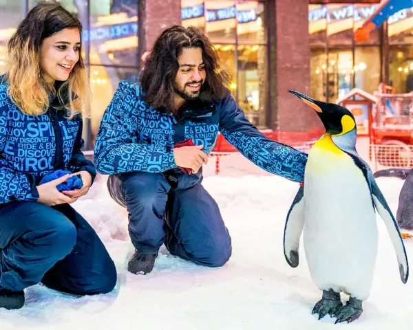 Ski Dubai: Zimowe szaleństwo w Dubaju czy warto? Pełen przewodnik