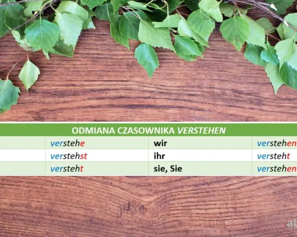 Tabela z odmianą czasownika "verstehen" po niemiecku. Ucz się, jak "verstehen" zmienia się w zależności od osoby.