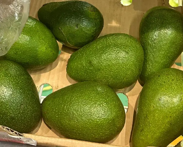 Siedem dojrzałych awokado w kartonie. Idealny czas na guacamole, bo to sezon na awokado!