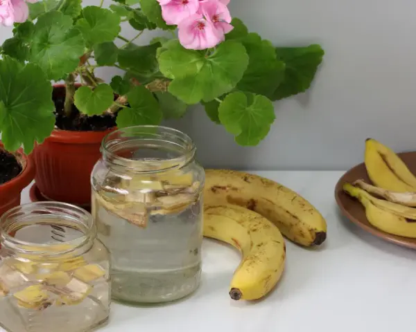 Nawóz z banana co zawiera: odkryj składniki, które pomogą roślinom