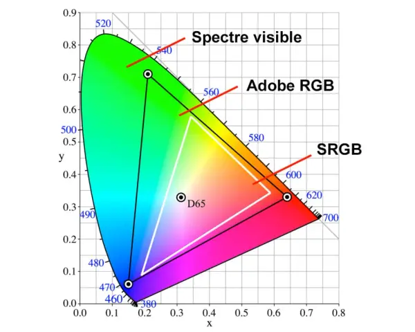 Diagramme CIE montrant les espaces colorimétriques Adobe RGB et sRGB, essentiel pour un écran pour retouche photo.