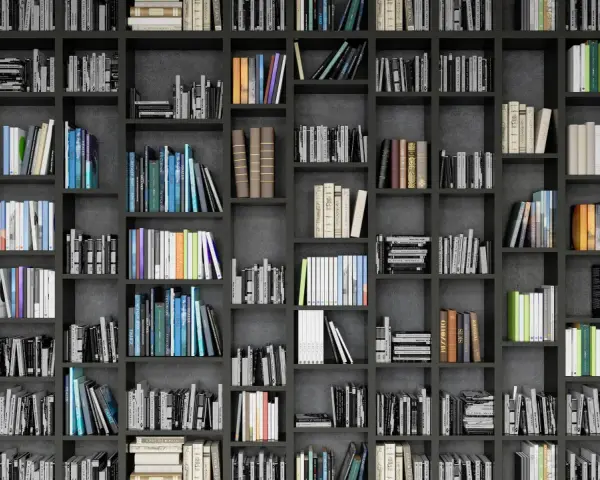 Eine Wand voller Bücherregale mit vielen Büchern in verschiedenen Farben und Größen.