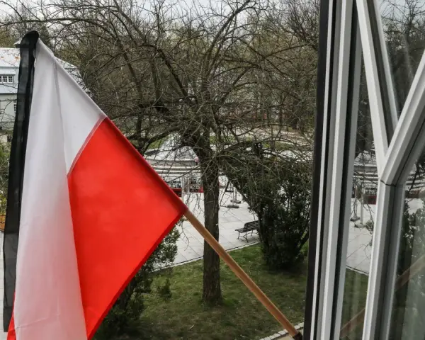 Biało-czerwona flaga na tle drzew i budynków. Czy flaga może wisieć cały rok? Pytanie o symbol dumy narodowej.