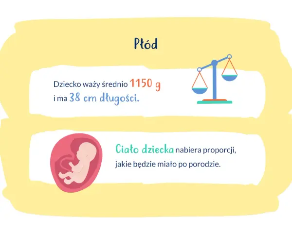 28 tydzień ciąży: płód waży 1150g i ma 38cm. Ciało dziecka nabiera proporcji.