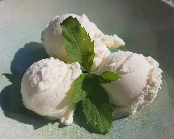 Drei Kugeln cremiges Bergamotte Eis mit frischer Minze auf einem hellgrünen Teller.