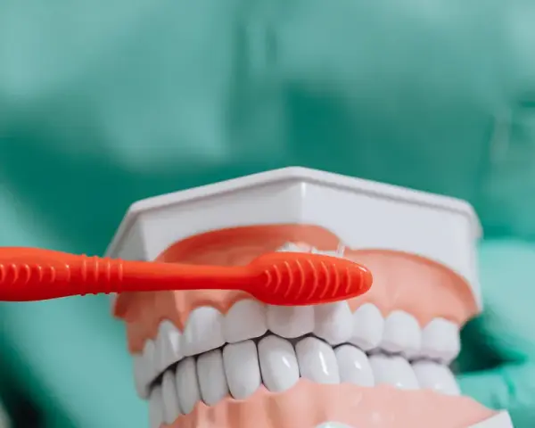 Prywatny dentysta a L4: Tak! Liczy się ZUS, nie umowa z NFZ