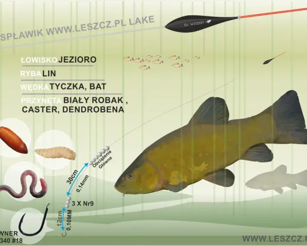 Jaki spławik na lina? Zestaw na jezioro: biały robak, caster, dendrobena, haczyk nr 9.