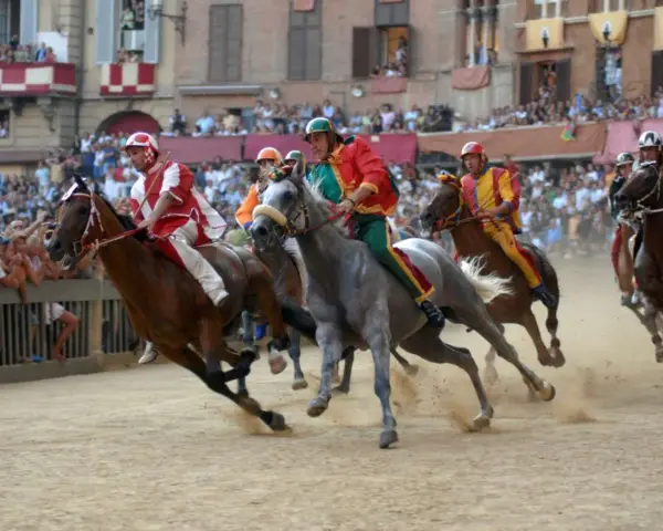 Jockeys in colorful silks race horses during the Palio di Siena. Dust flies as the horses thunder across the track, a thrilling spectacle of the historic siena horse race.