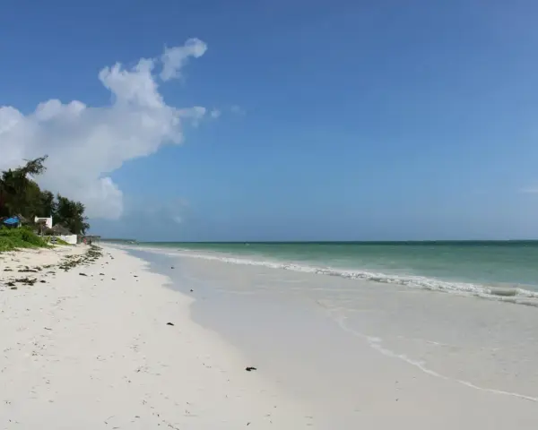 Piękna plaża na Zanzibarze, turkusowa woda i biały piasek. Czy warto tu przyjechać? Zdecydowanie tak!