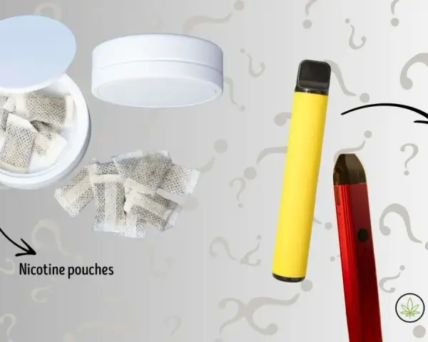 Bolsitas de nicotina y vapes. ¿Cuánto es el máximo de nicotina en un vape?