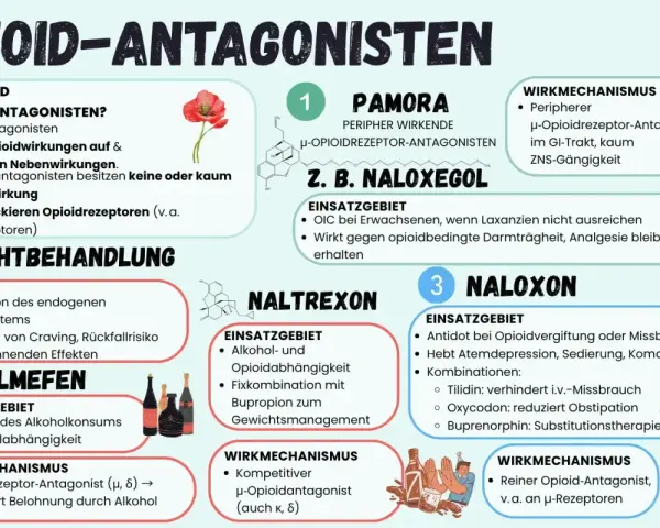 Opioid-Antagonisten wie Naloxon, Naltrexon und Naloxegol blockieren Opioidrezeptoren. Sie helfen bei der Suchtbehandlung und können Nebenwirkungen von Opioiden wie Obstipation bei Oxycodon reduzieren.