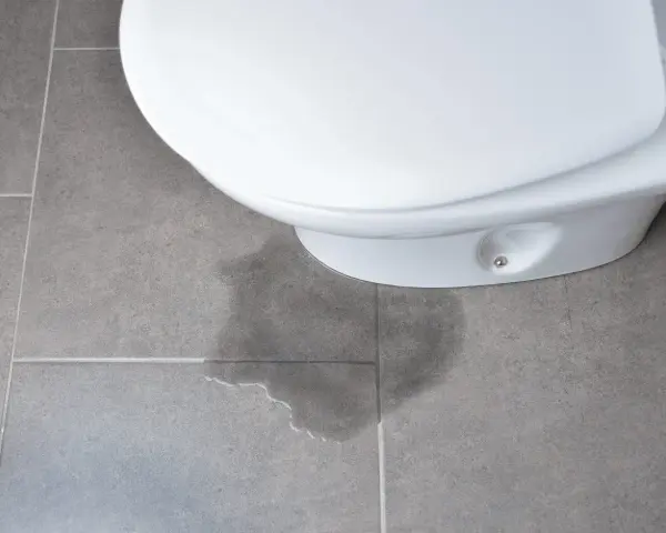 A wet patch on the floor indicates the toilet leaking at the base.