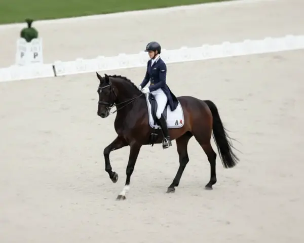 Une cavalière en tenue d'équitation exécute une figure sur son cheval brun. Elle fait partie de la liste des cavaliers français en compétition.