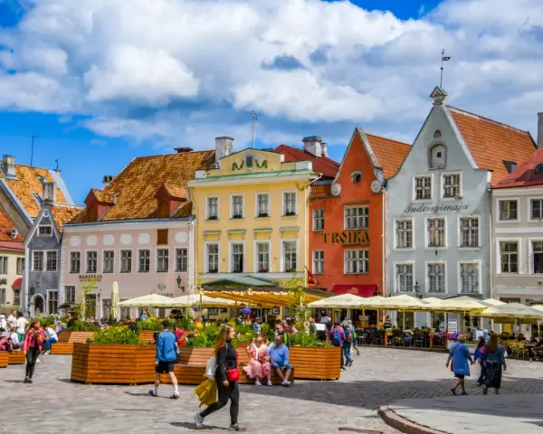 Kolorowe kamienice na placu w Tallinie, stare miasto tętni życiem. Ludzie spacerują, siedzą w kawiarniach pod żółtymi parasolami.