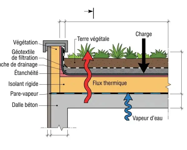 Coupe d'un toit végétalisé : terre végétale, géotextile, drainage, étanchéité, isolant rigide. Laine végétale pour isolation thermique.