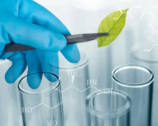Biologia praca po studiach: jak uniknąć trudności w zatrudnieniu