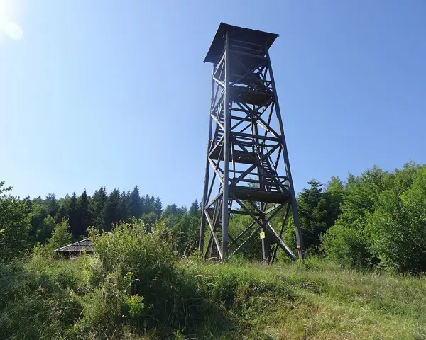 Drewniana wieża widokowa pod Jaworzem góruje nad zielonym lasem. W oddali widać mały domek.