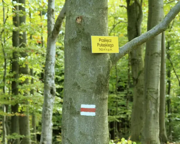 Szlak na Lackową prowadzi przez bukowy las. Na drzewie tabliczka z nazwą Przełęcz Pułaskiego i znak szlaku.