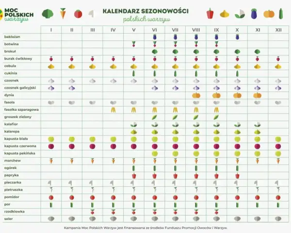 Kalendarz sezonowości polskich warzyw: kiedy siać warzywa, od bakłażana po selera, z ikonami wskazującymi najlepszy czas na sadzenie i zbiory.