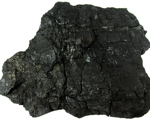 Okres geologiczny w którym powstał węgiel kamienny – tajemnice karbonu